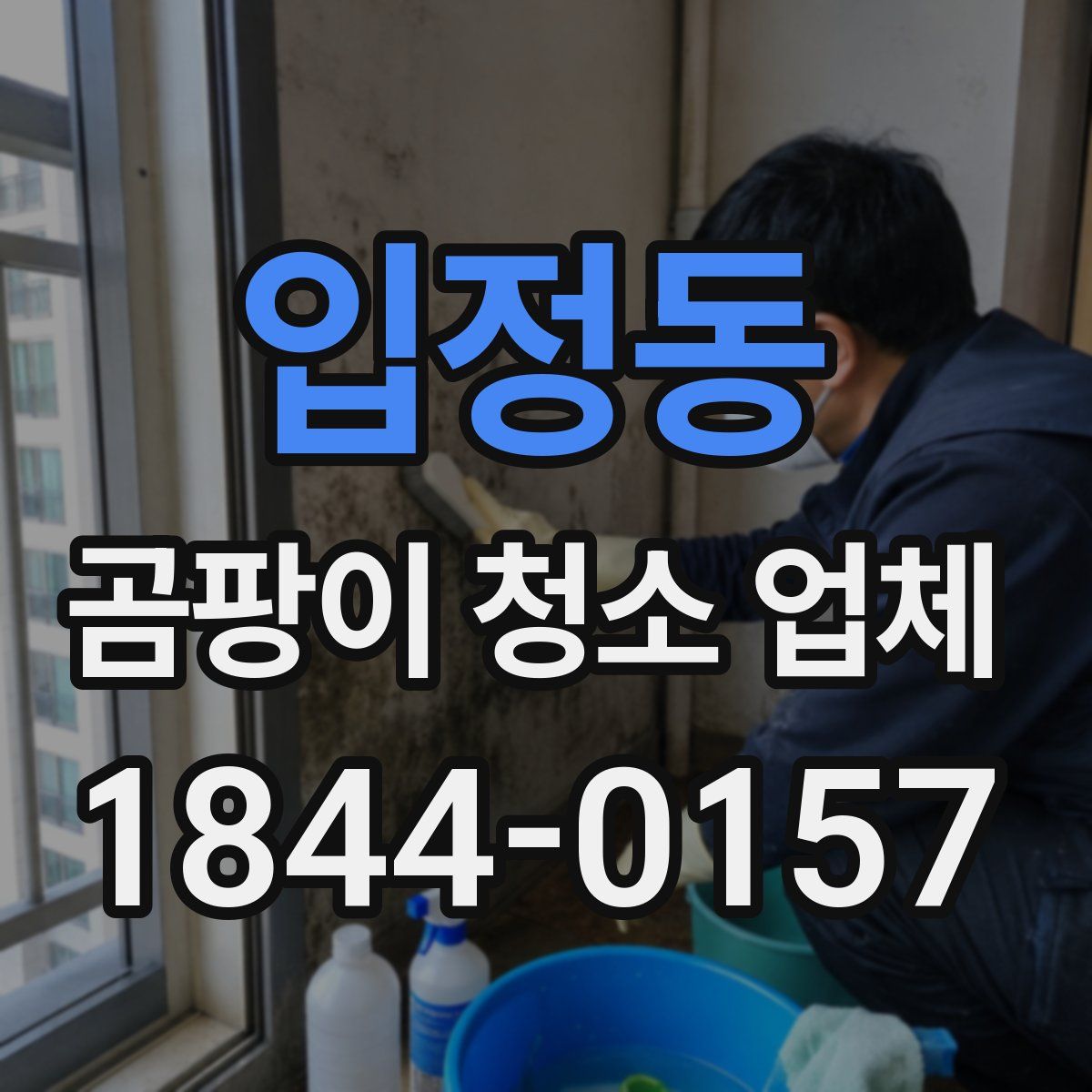 입정동 곰팡이 청소 업체