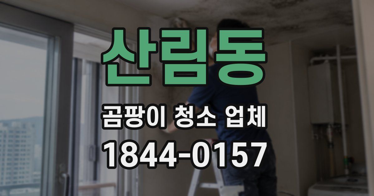 산림동 곰팡이 청소 업체
