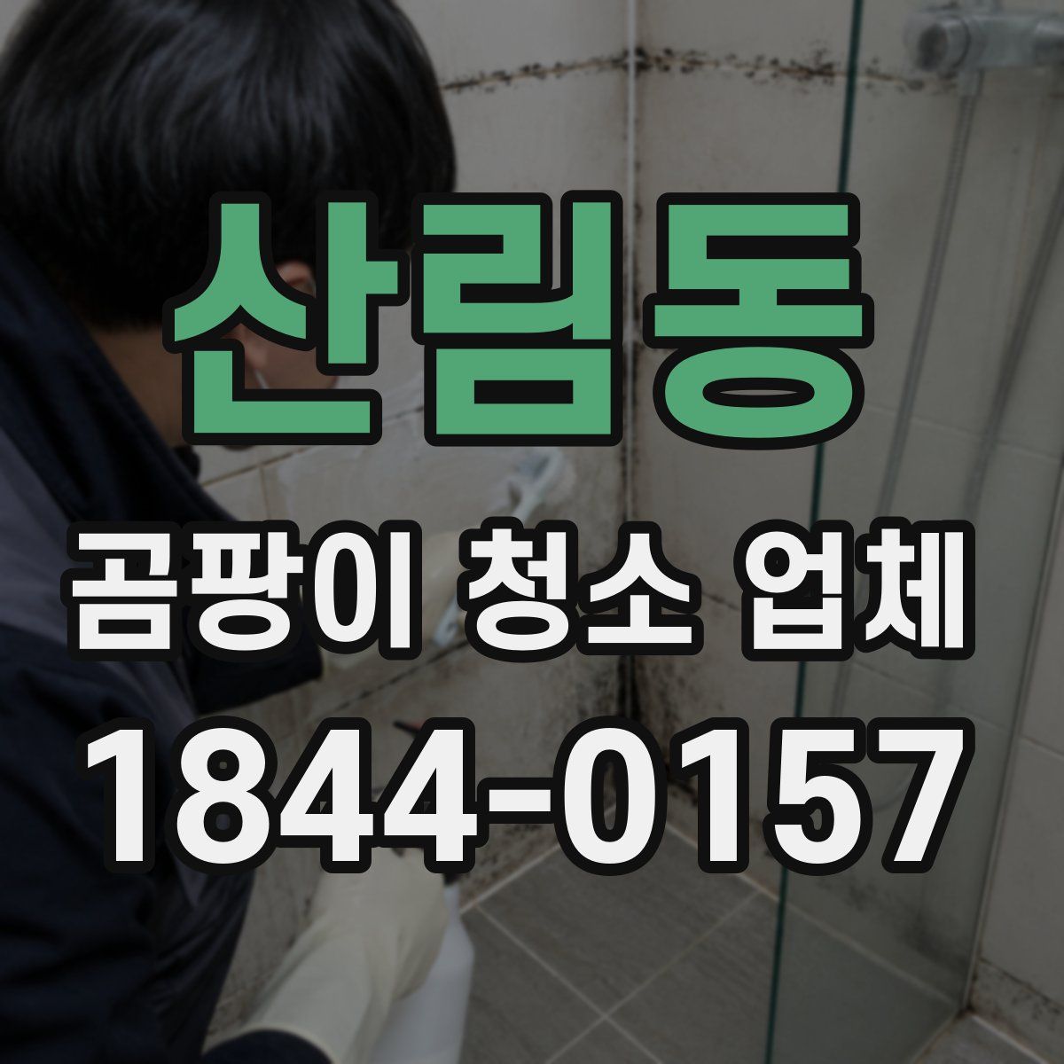 산림동 곰팡이 청소 업체