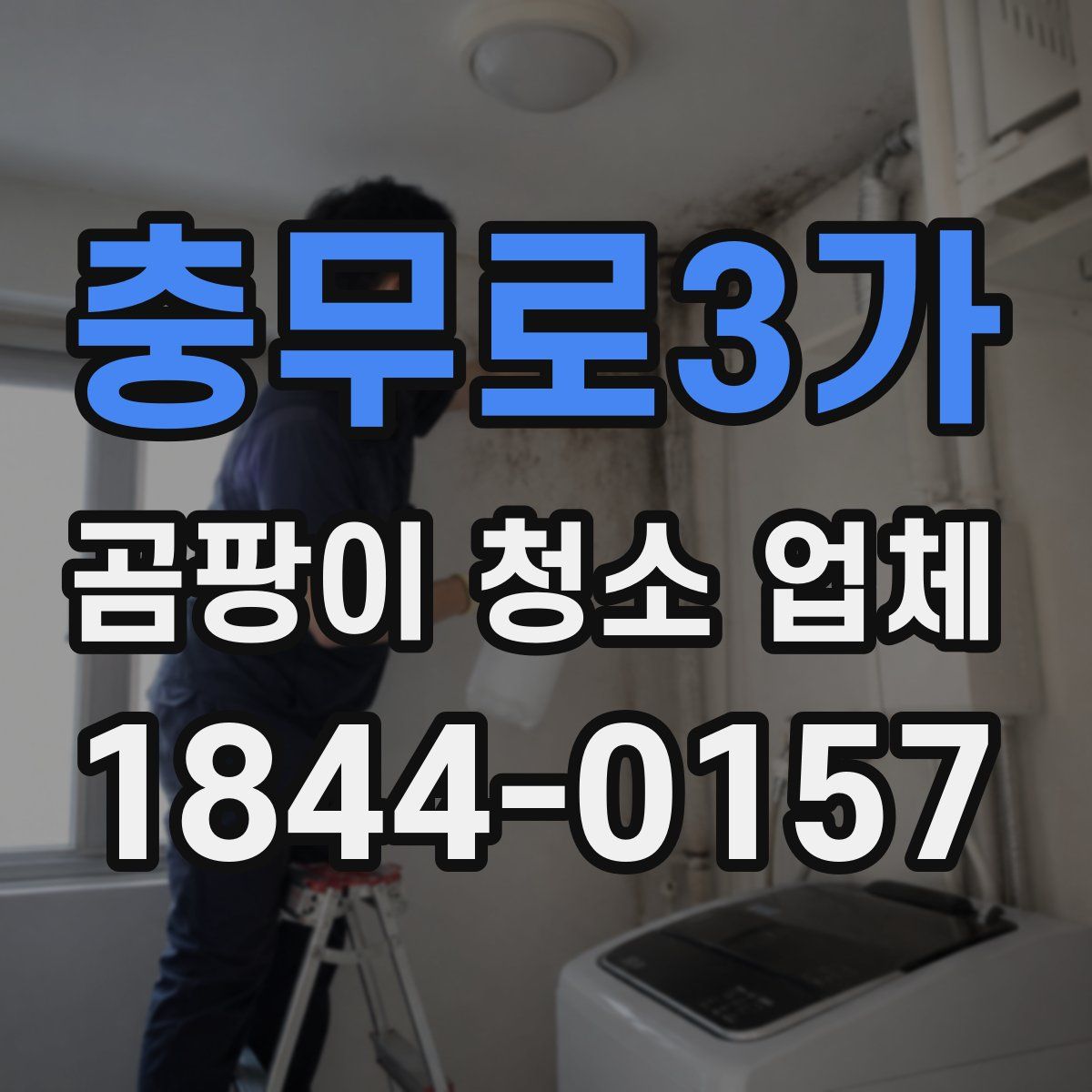 충무로3가 곰팡이 청소 업체