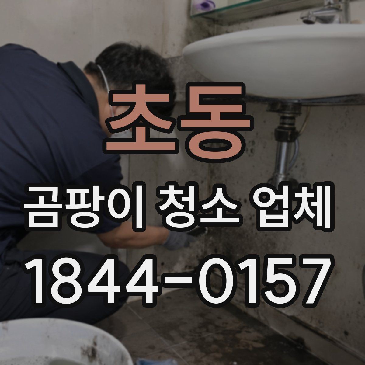 초동 곰팡이 청소 업체 배관 주변 오염과 누수 흔적을 함께 점검하기