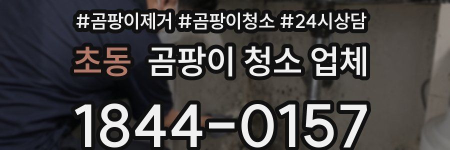 초동 곰팡이 청소 업체