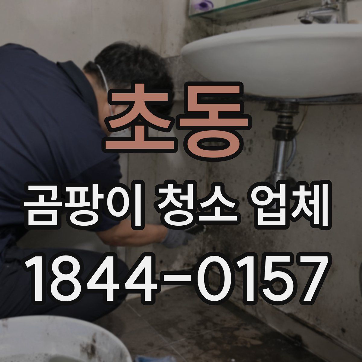 초동 곰팡이 청소 업체