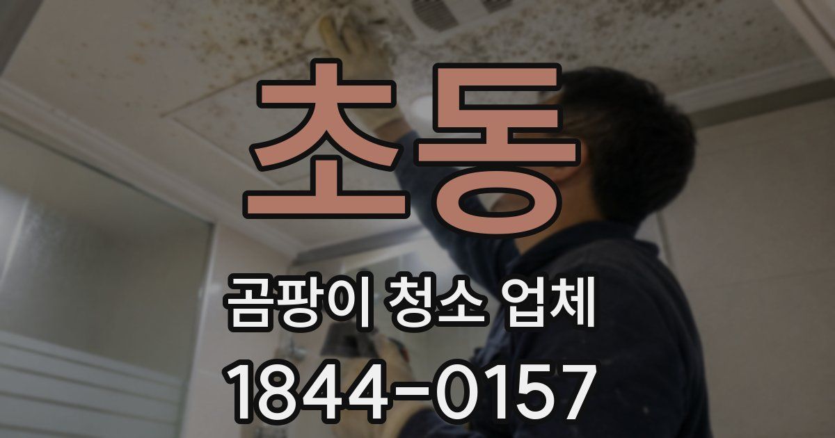 초동 곰팡이 청소 업체