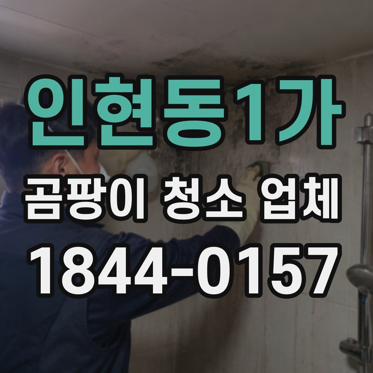 인현동1가 곰팡이 청소 업체 아기와 반려동물 있는 집에서 확인할 점