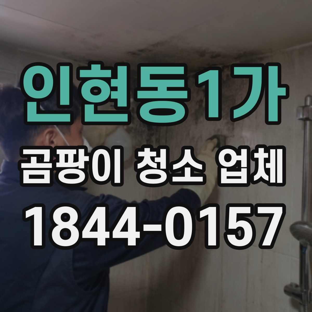 인현동1가 곰팡이 청소 업체