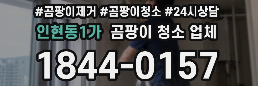인현동1가 곰팡이 청소 업체
