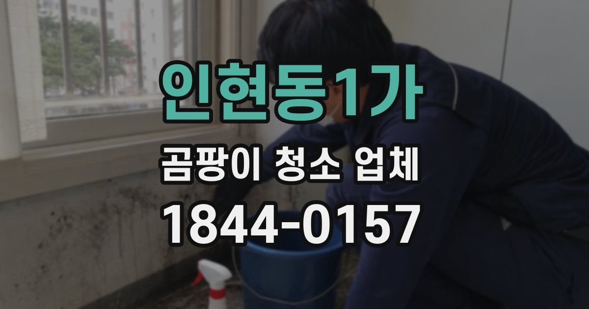 인현동1가 곰팡이 청소 업체