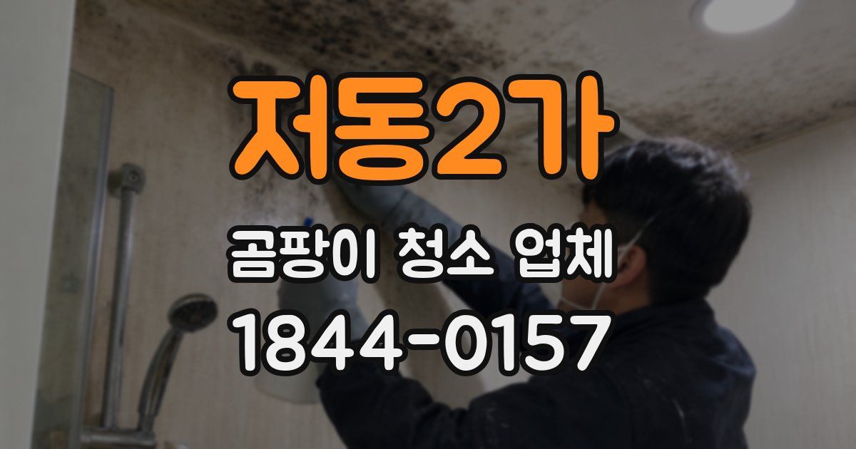 저동2가 곰팡이 청소 업체