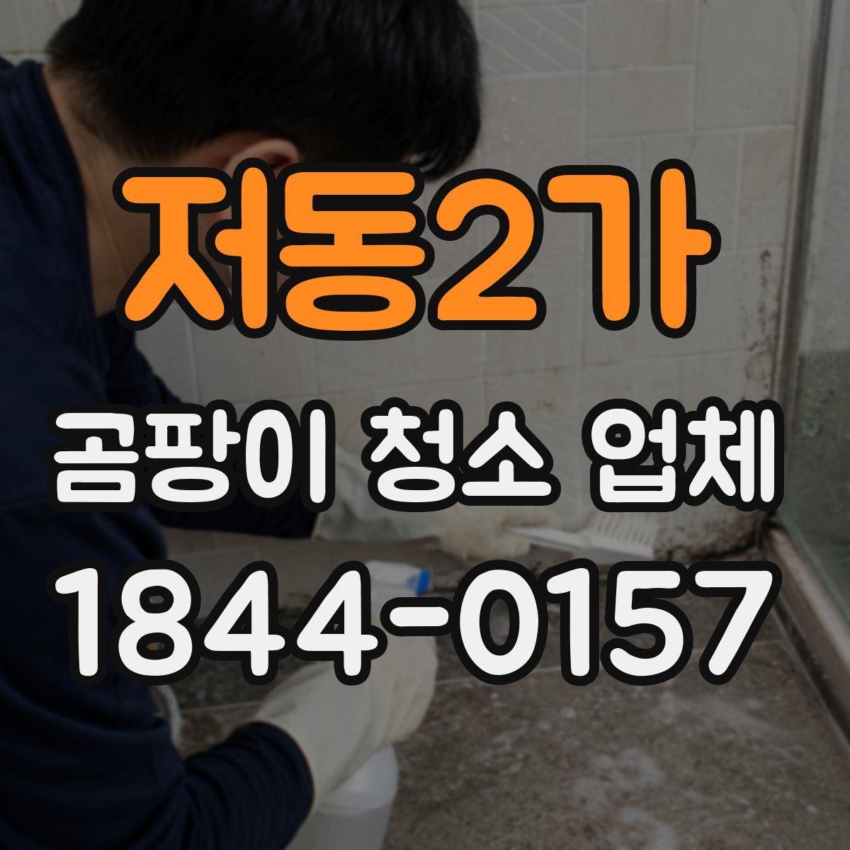 저동2가 곰팡이 청소 업체