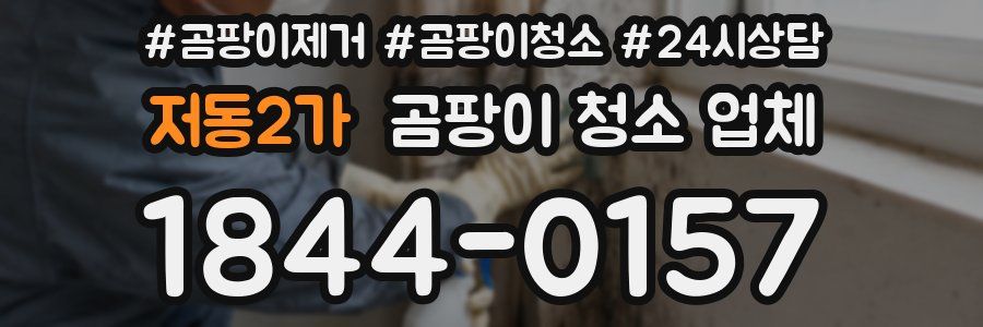 저동2가 곰팡이 청소 업체