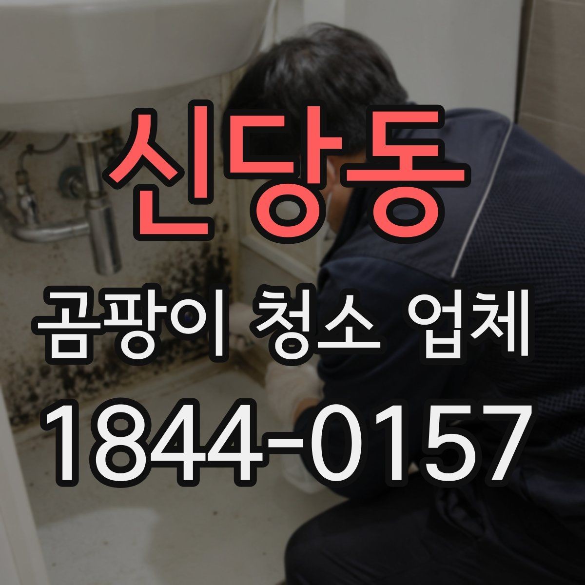 신당동 곰팡이 청소 업체 환기 설비와 함께 확인할 관리 요소