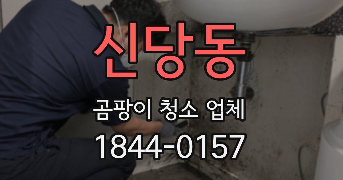 신당동 곰팡이 청소 업체