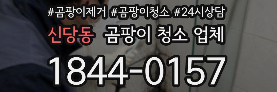 신당동 곰팡이 청소 업체