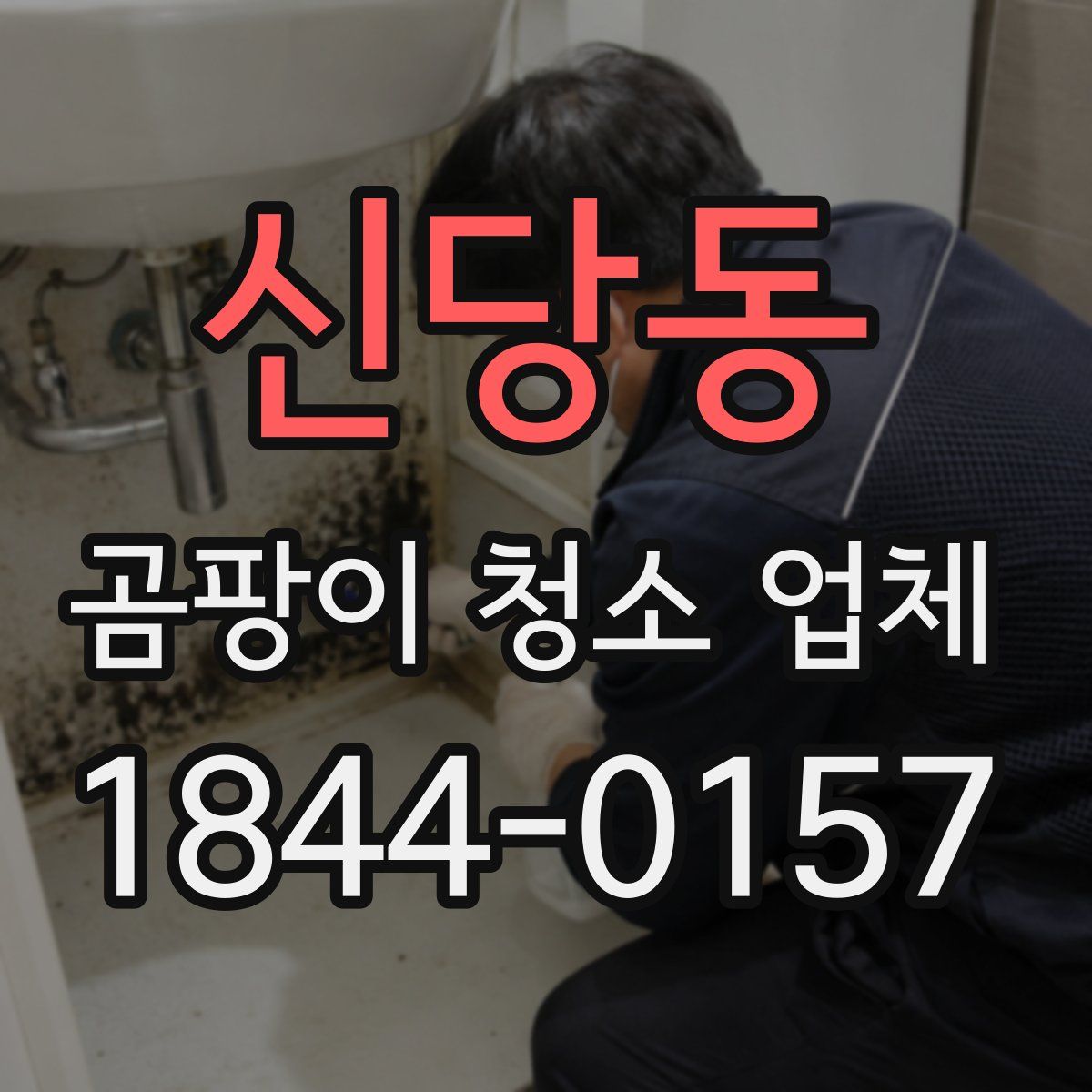 신당동 곰팡이 청소 업체