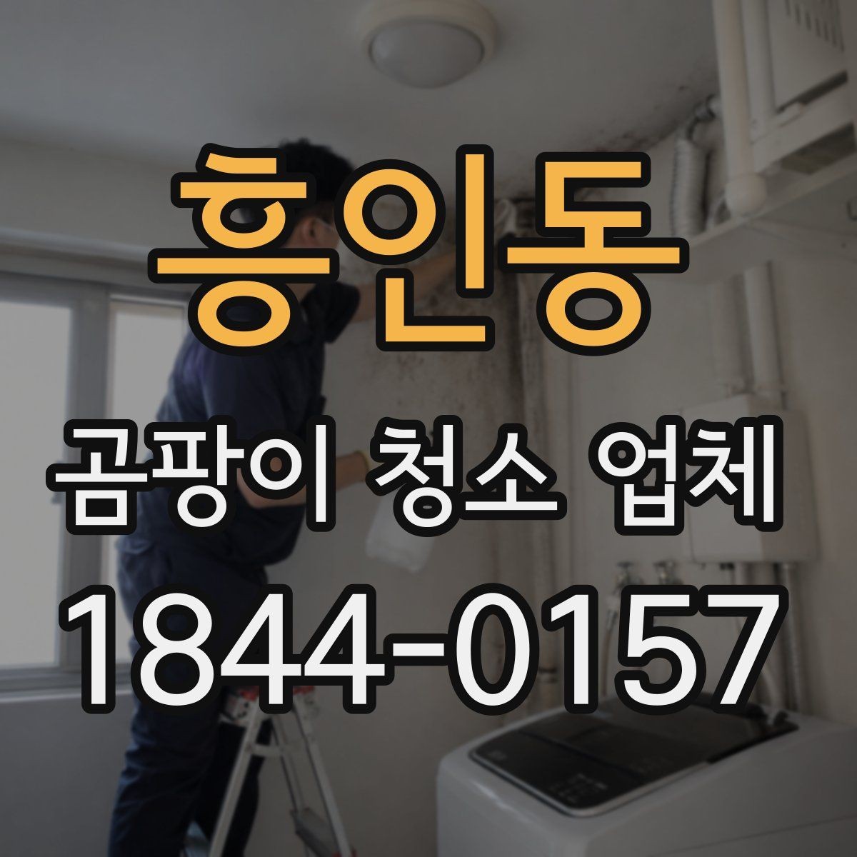 흥인동 곰팡이 청소 업체 공기질 회복을 위한 사후 점검 항목