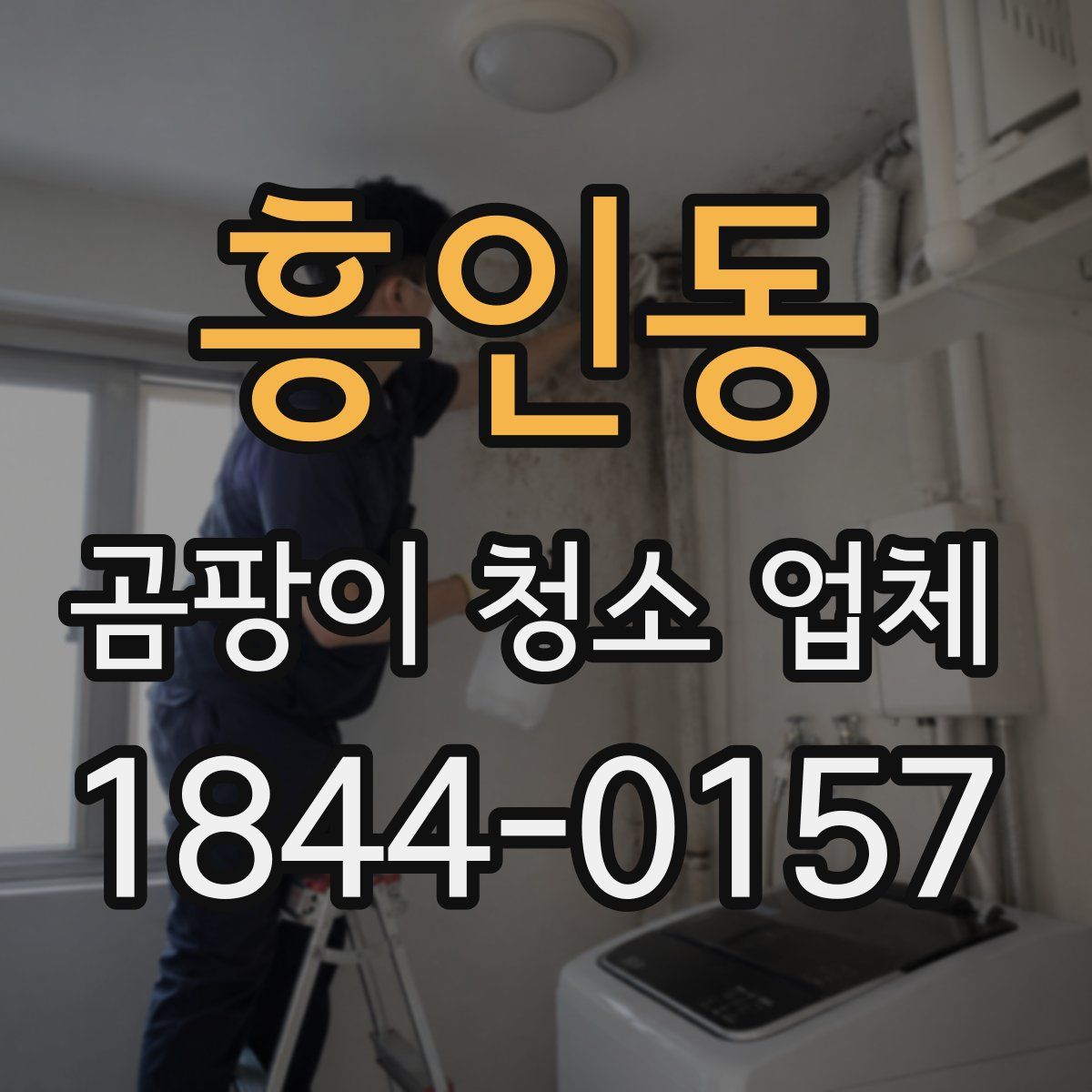 흥인동 곰팡이 청소 업체
