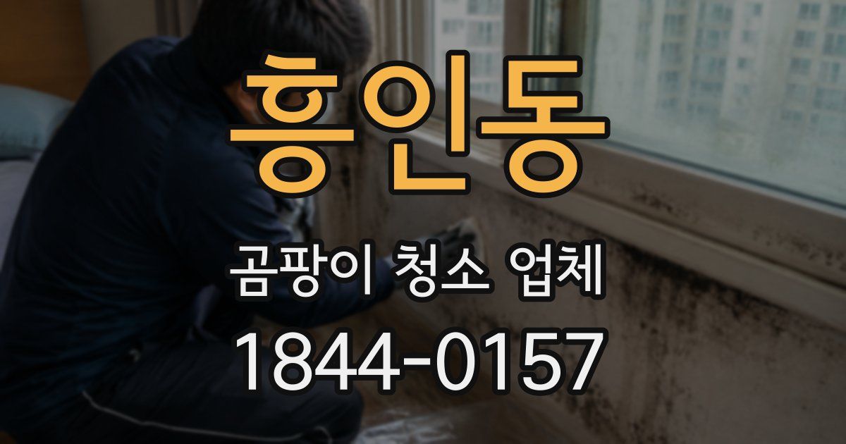 흥인동 곰팡이 청소 업체