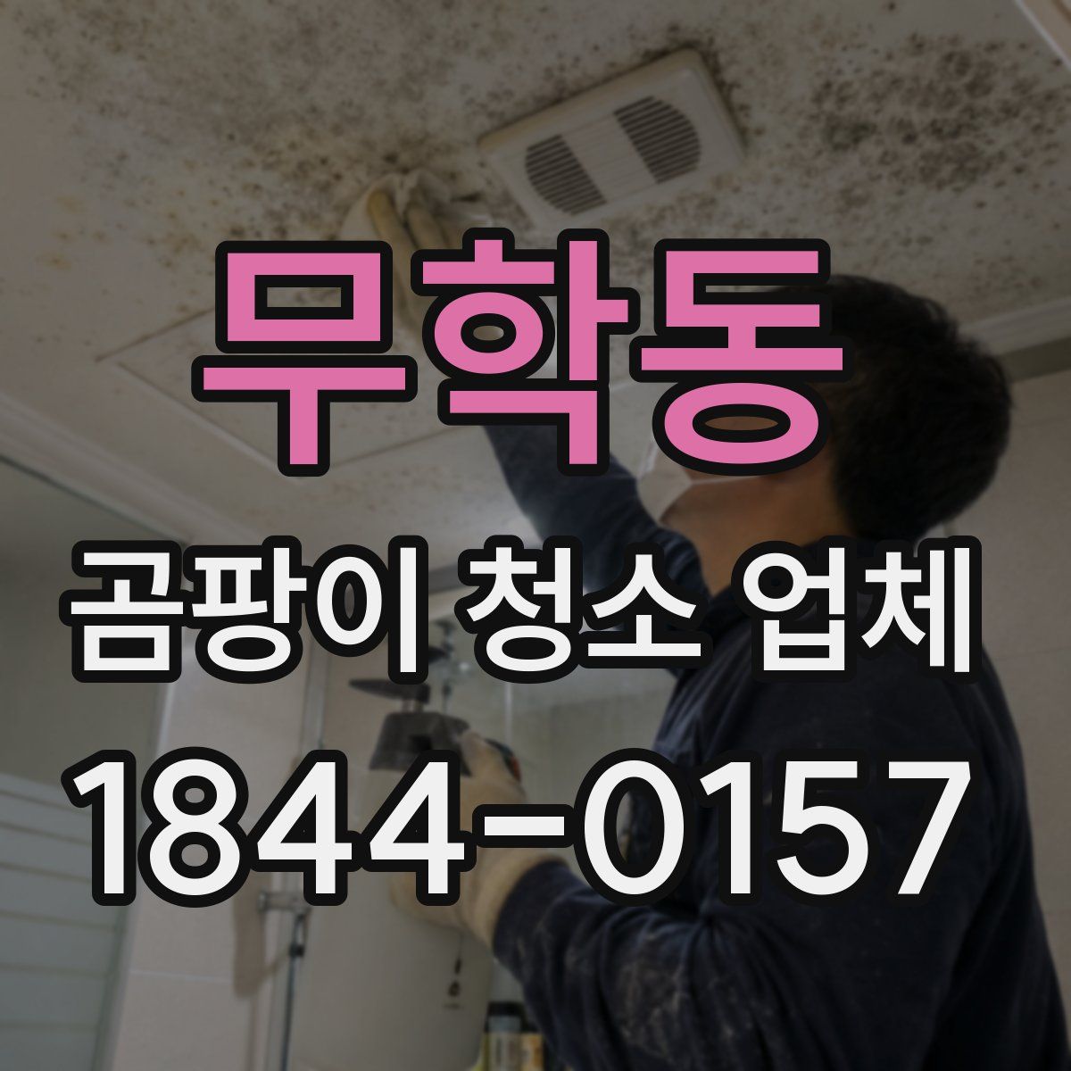 무학동 곰팡이 청소 업체