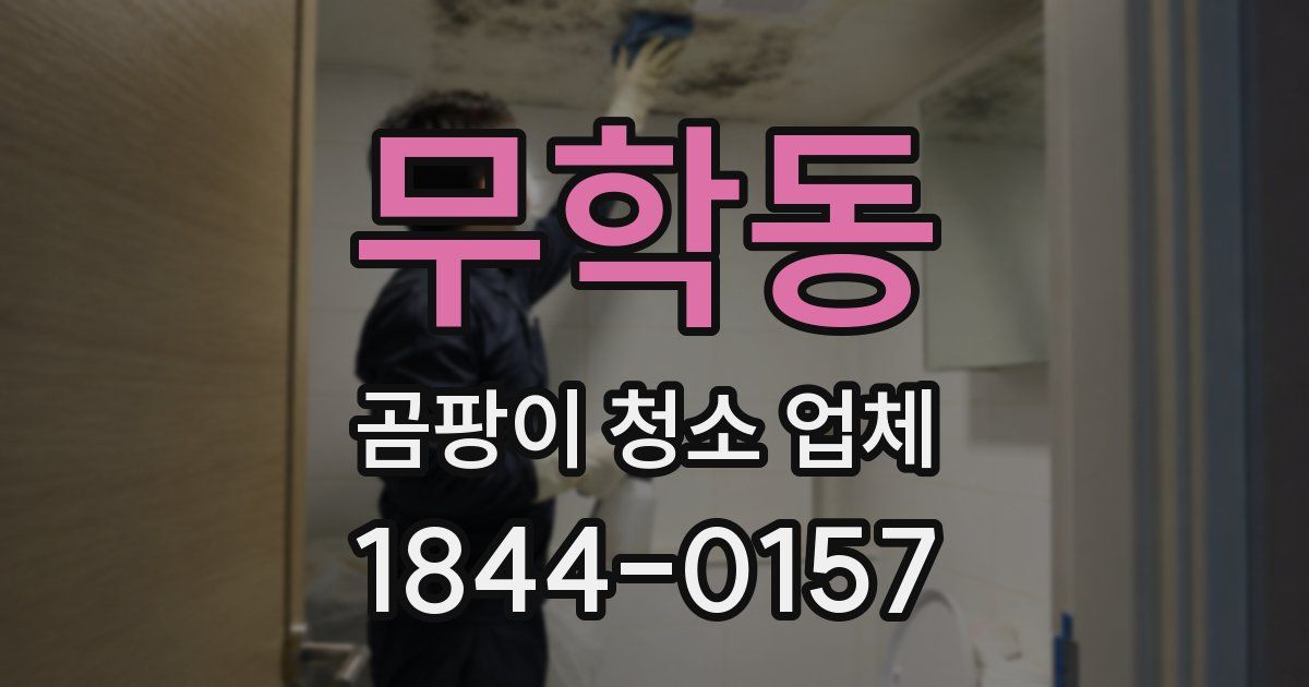 무학동 곰팡이 청소 업체