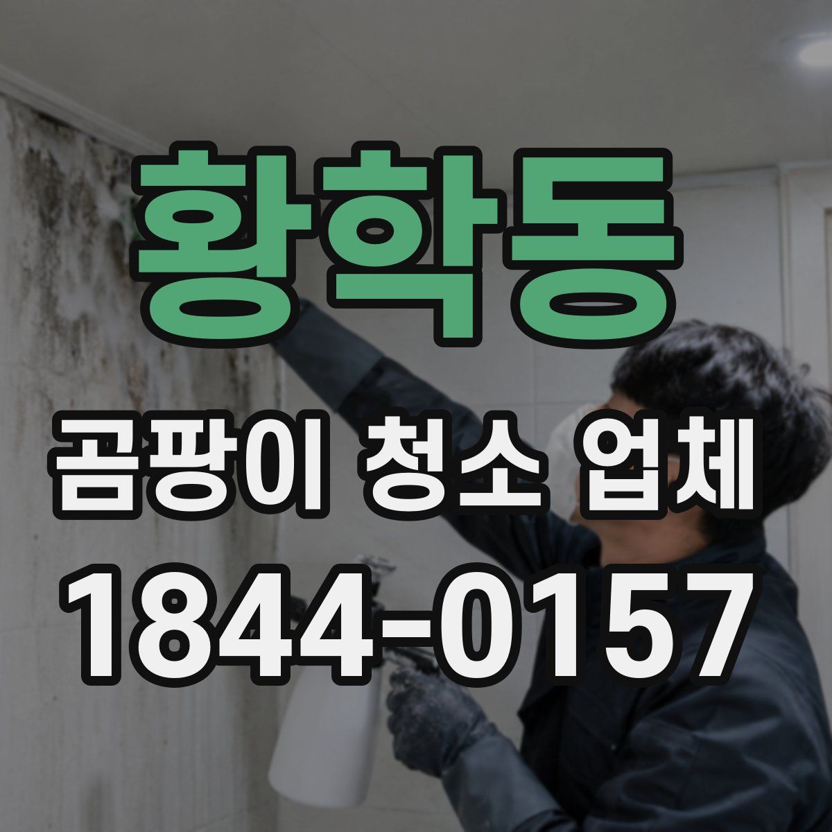 황학동 곰팡이 청소 업체