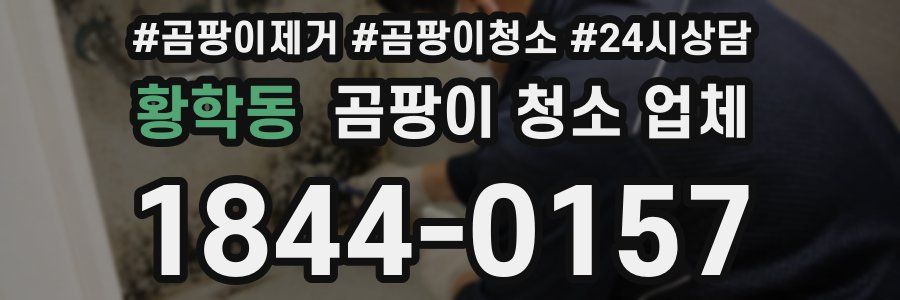 황학동 곰팡이 청소 업체