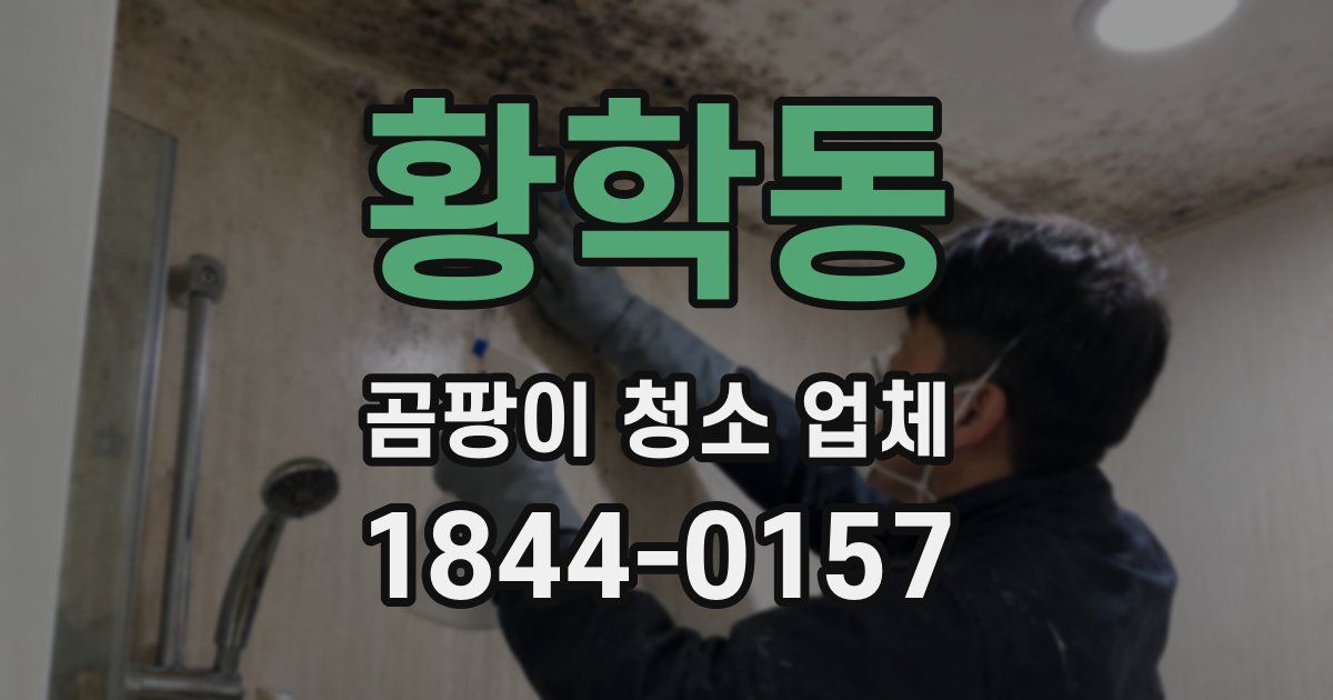황학동 곰팡이 청소 업체
