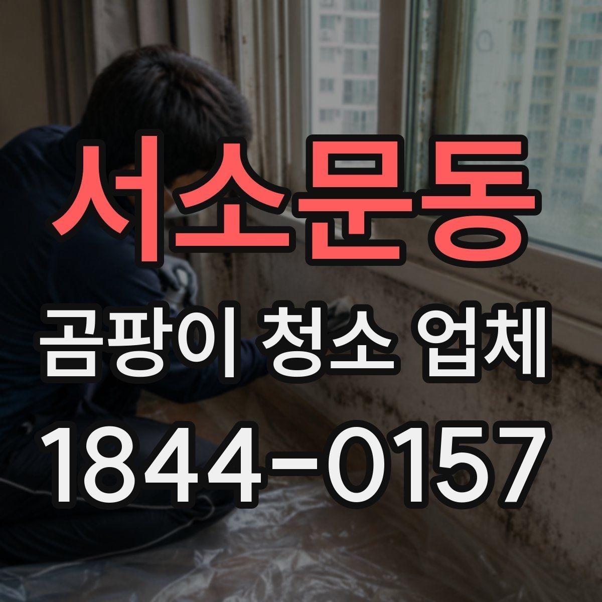 서소문동 곰팡이 청소 업체 가전 주변 습기와 오염을 함께 살피는 법