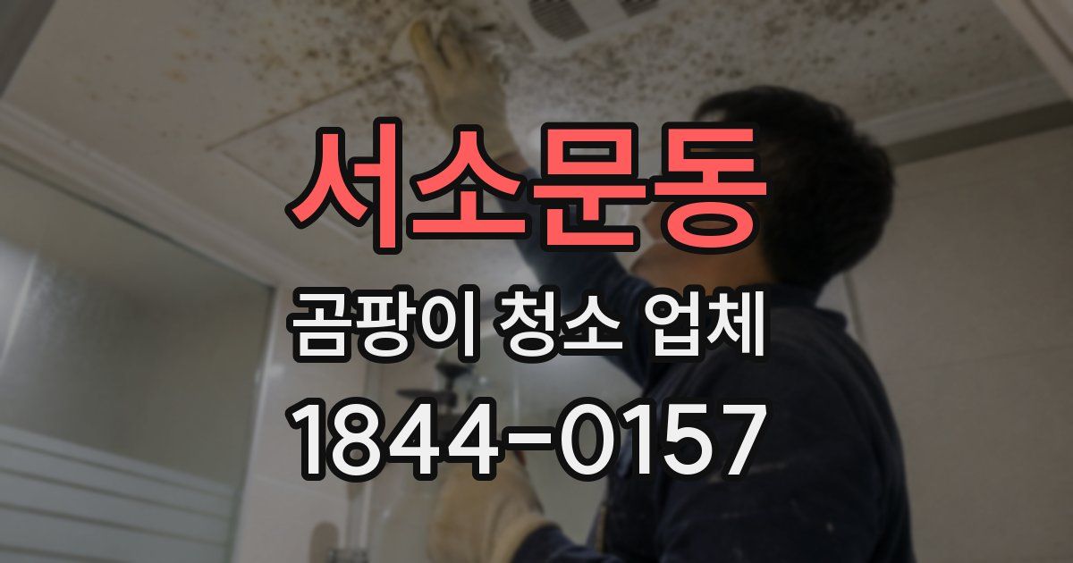 서소문동 곰팡이 청소 업체