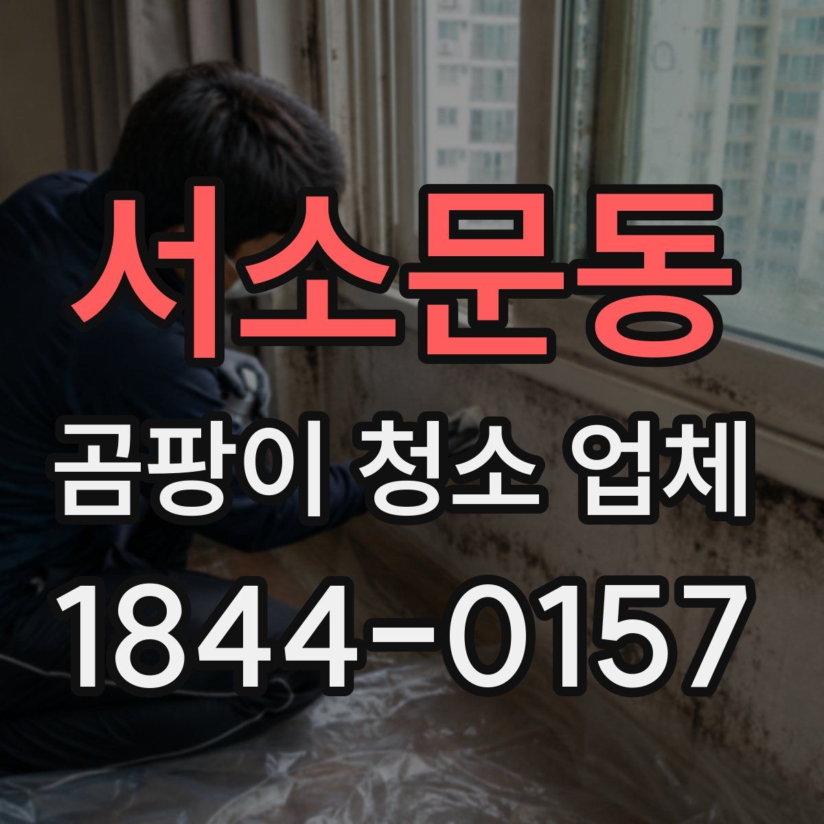 서소문동 곰팡이 청소 업체