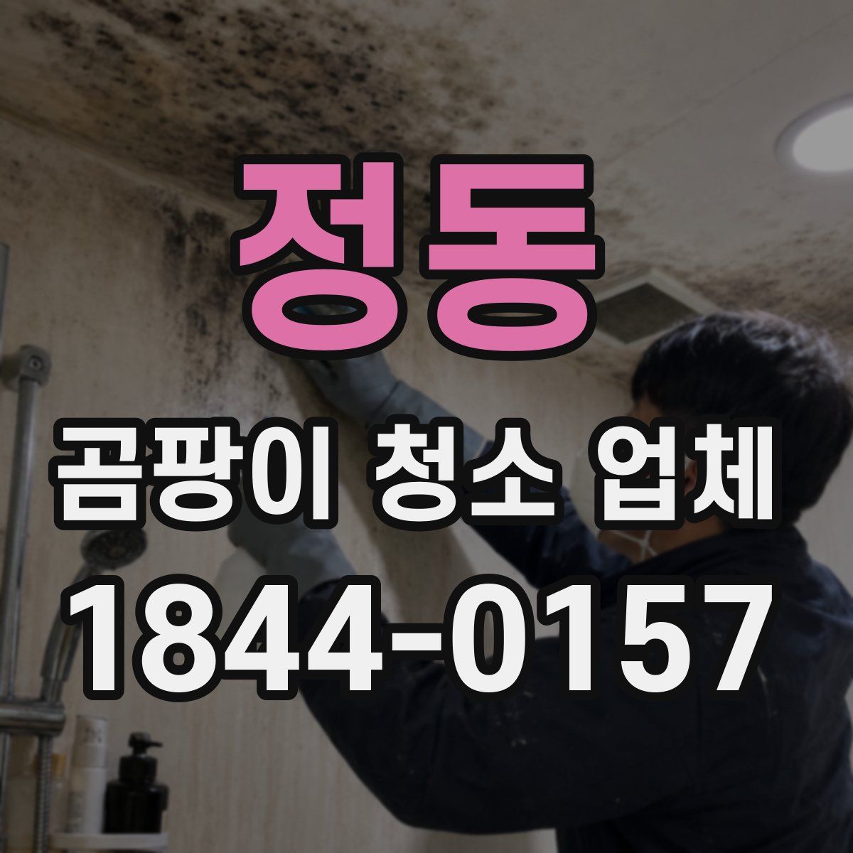 정동 곰팡이 청소 업체