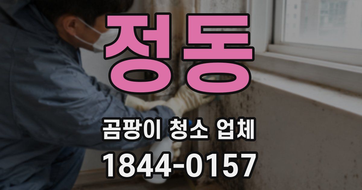 정동 곰팡이 청소 업체