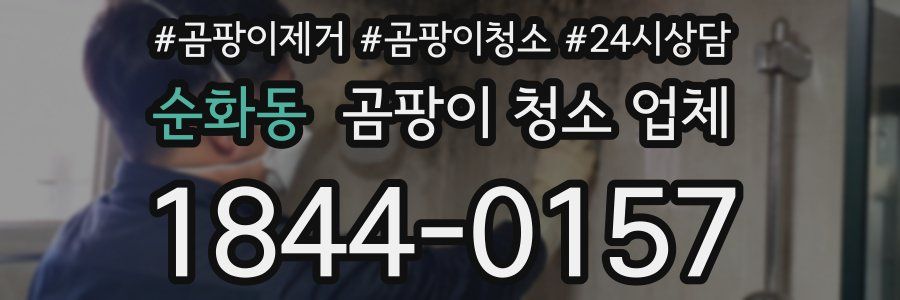 순화동 곰팡이 청소 업체