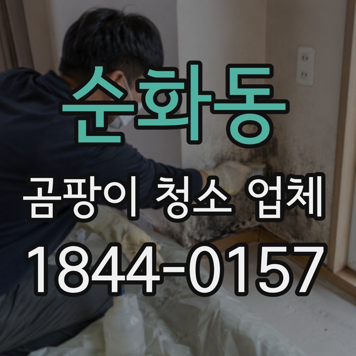 순화동 곰팡이 청소 업체