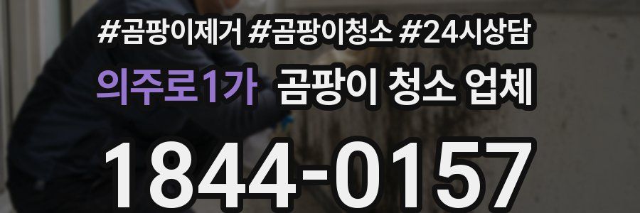 의주로1가 곰팡이 청소 업체