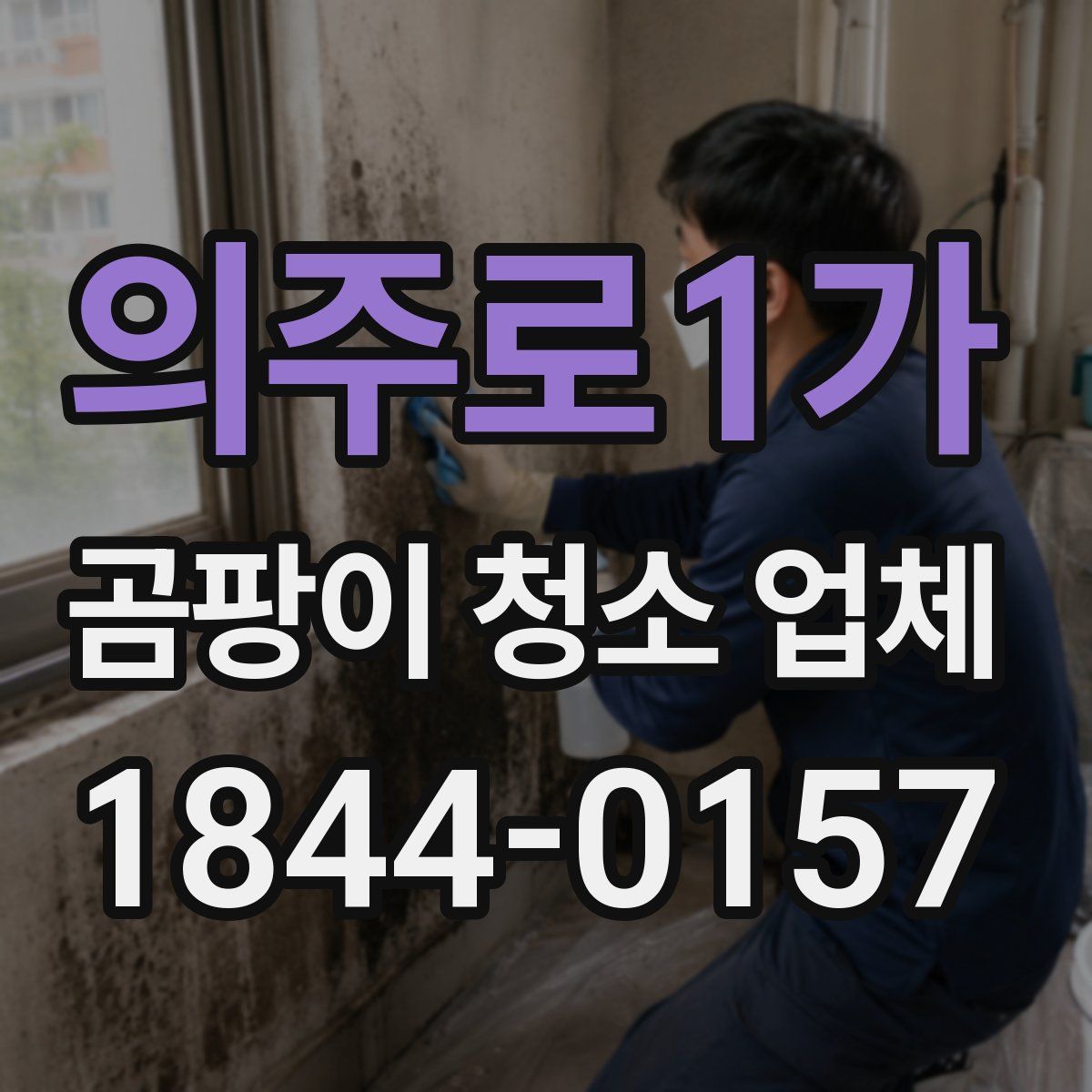 의주로1가 곰팡이 청소 업체