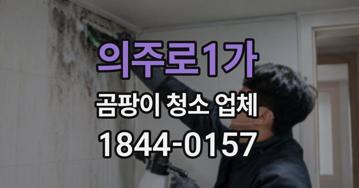 의주로1가 곰팡이 청소 업체