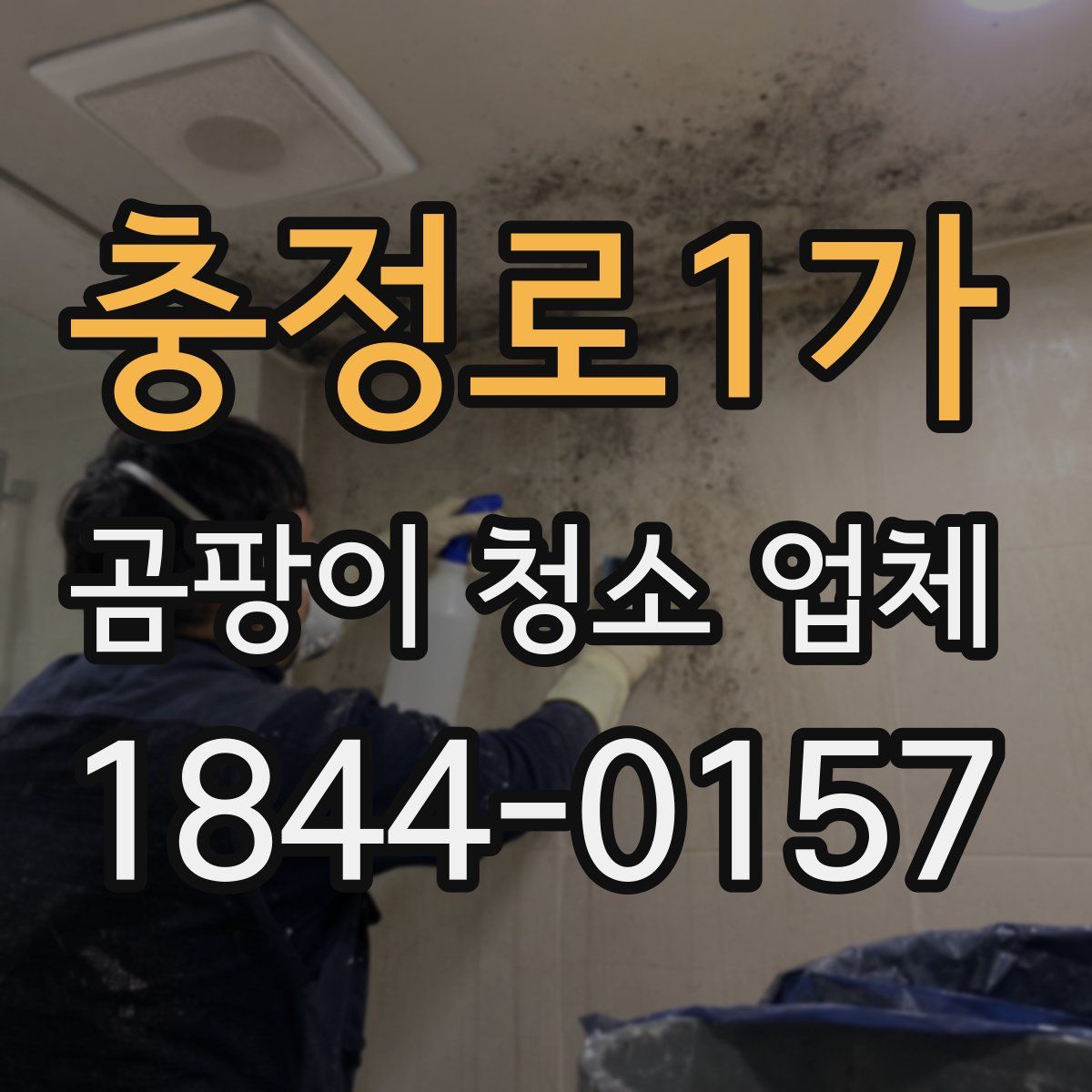 충정로1가 곰팡이 청소 업체