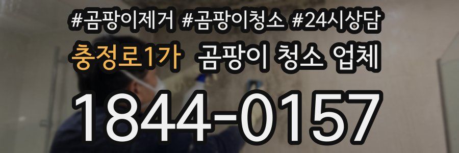 충정로1가 곰팡이 청소 업체