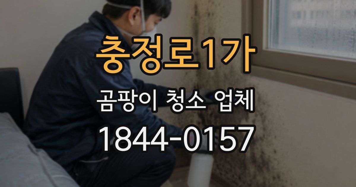 충정로1가 곰팡이 청소 업체