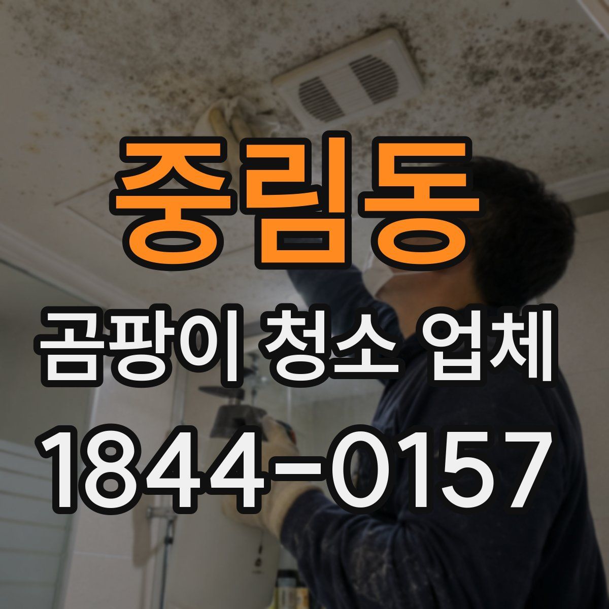 중림동 곰팡이 청소 업체