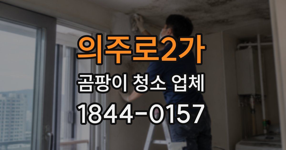 의주로2가 곰팡이 청소 업체