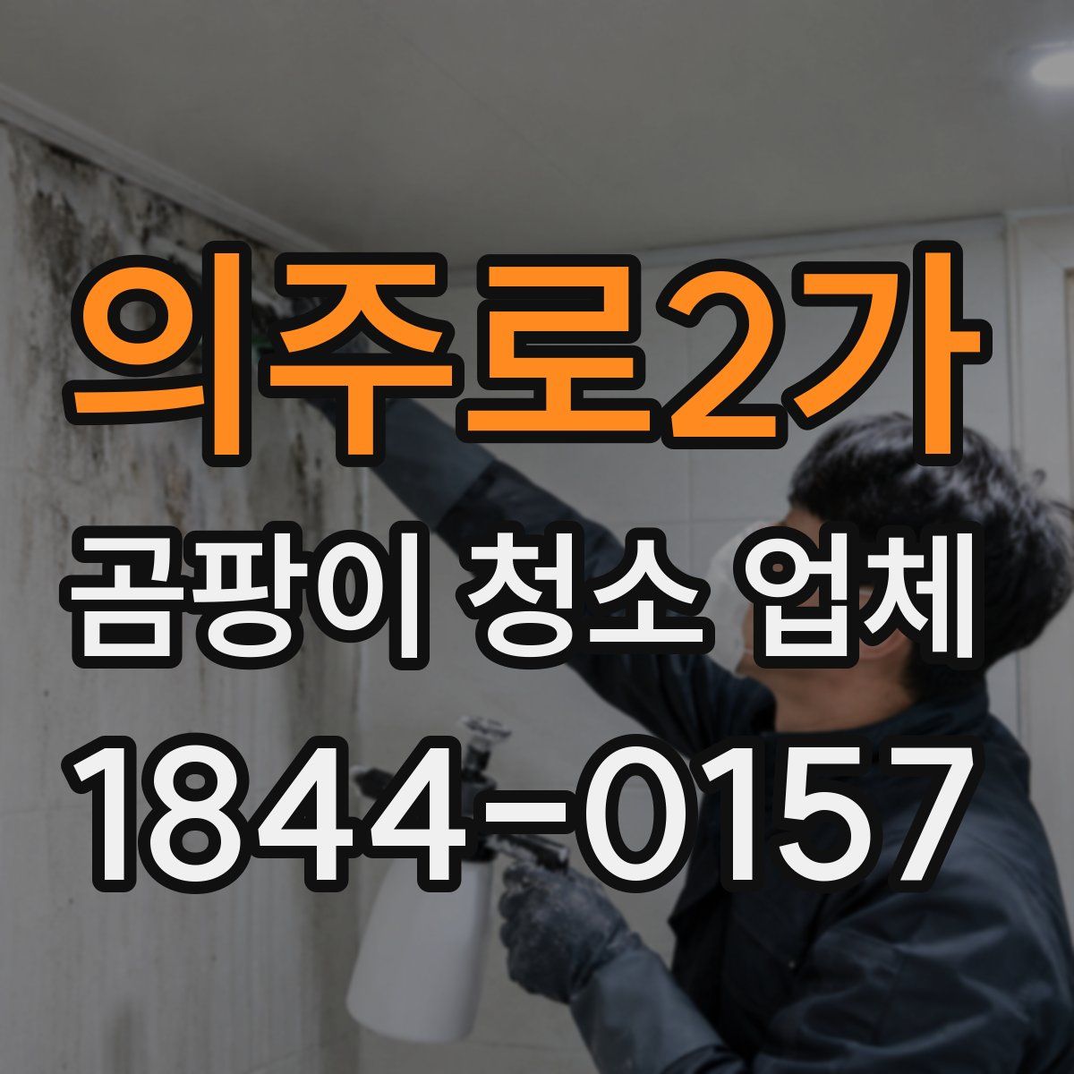 의주로2가 곰팡이 청소 업체