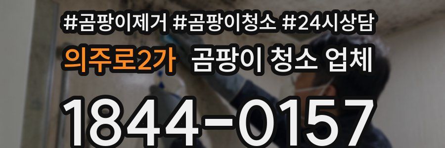 의주로2가 곰팡이 청소 업체