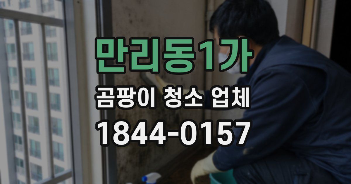만리동1가 곰팡이 청소 업체