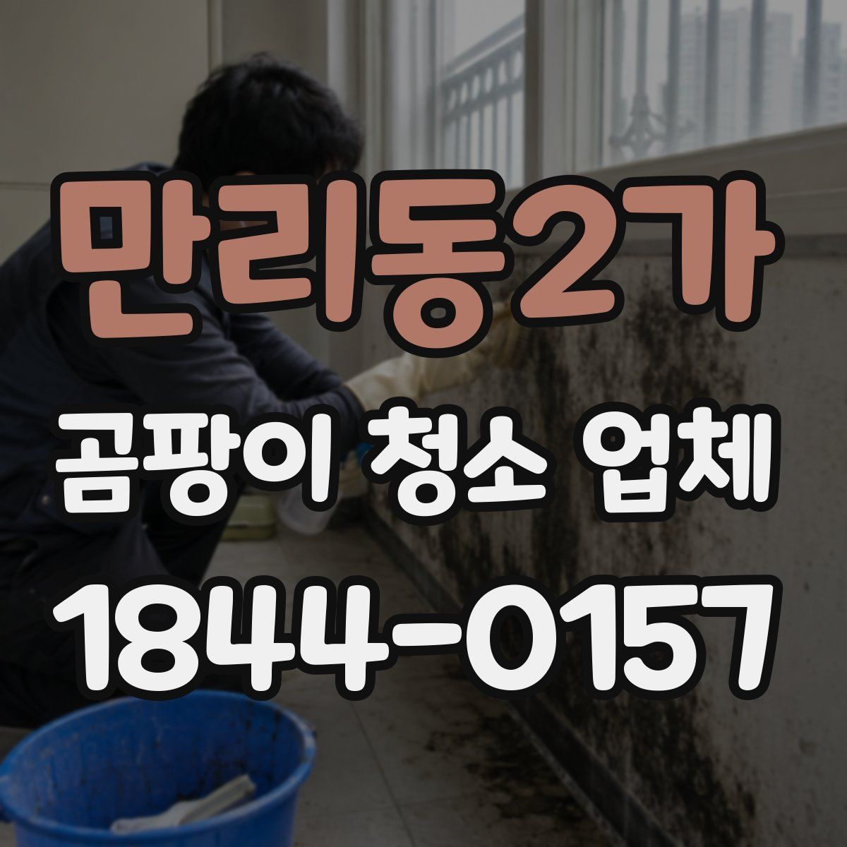 만리동2가 곰팡이 청소 업체