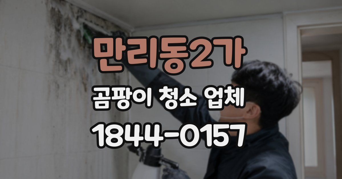 만리동2가 곰팡이 청소 업체
