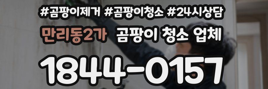 만리동2가 곰팡이 청소 업체