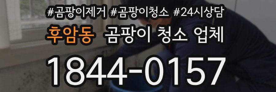 후암동 곰팡이 청소 업체