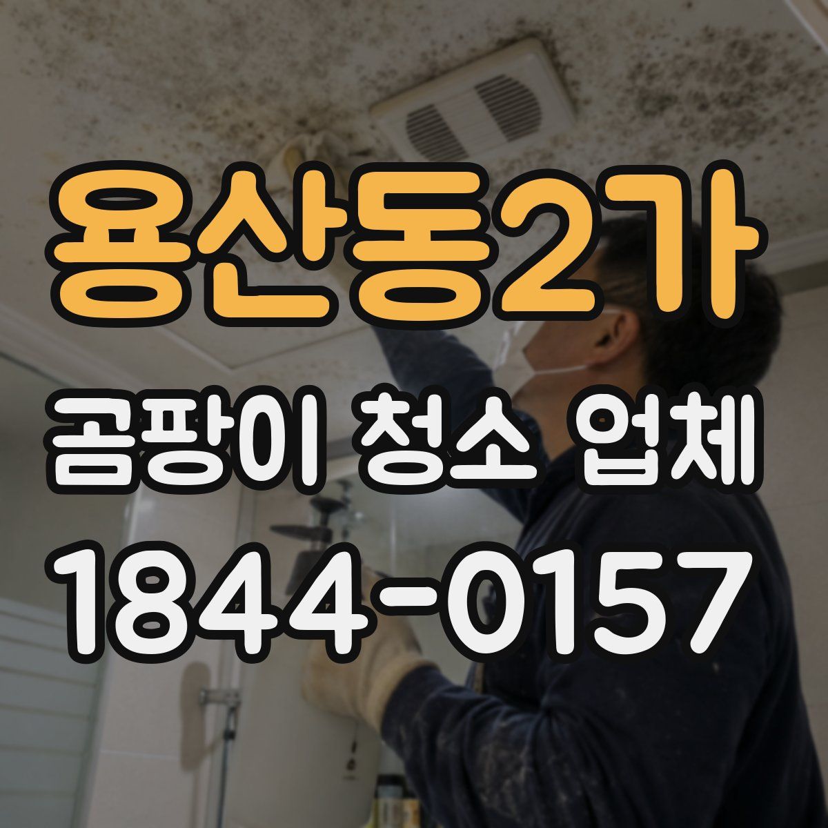 용산동2가 곰팡이 청소 업체
